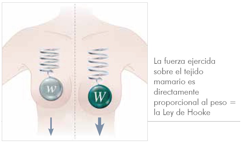 B-Lite-implante-mamario 04